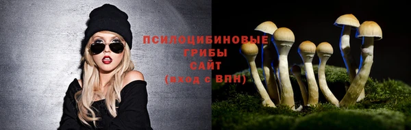 кокс Армянск